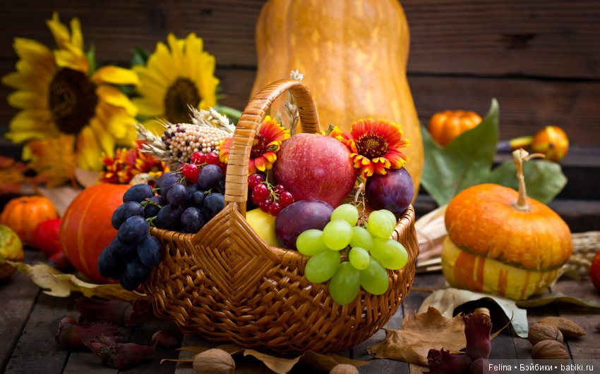 Разноцветная роспись Сентября. Kidz'n'Cats