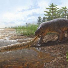 Звероящер и узоры времён динозавров в Московском метро