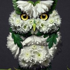 Креативные работы из растений и цветов