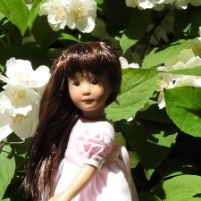 Жасминовые денёчки