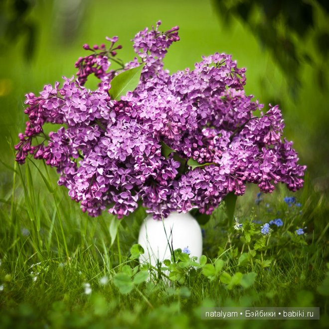 Мой нежный цветочек Samantha от Pamela Erff (фото 3)