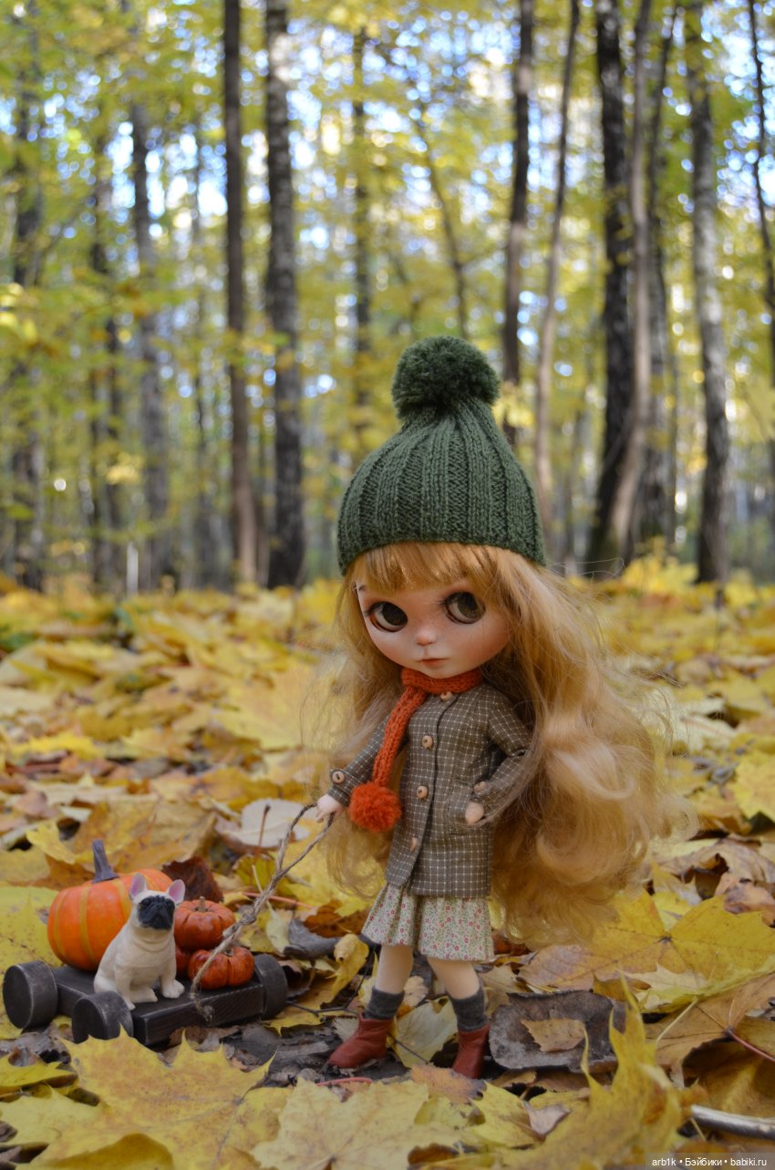 Осенние фотографии — Куклы Blythe (Блайз) ООАК: кастом
