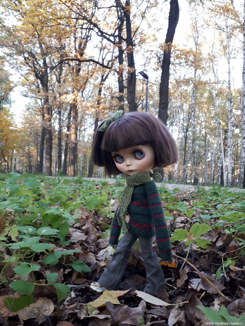 Осенние фотографии — Куклы Blythe (Блайз) ООАК: кастом (фото 10)