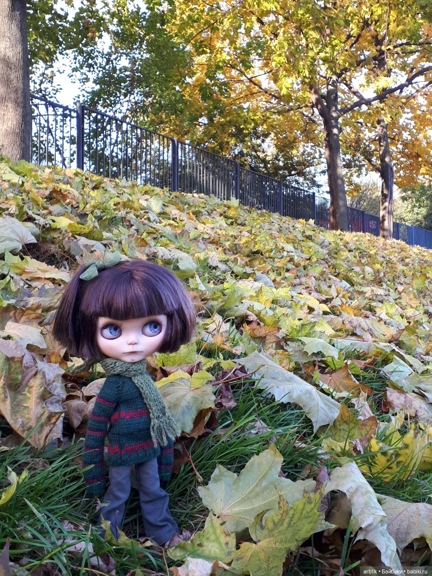 Осенние фотографии — Куклы Blythe (Блайз) ООАК: кастом (фото 4)