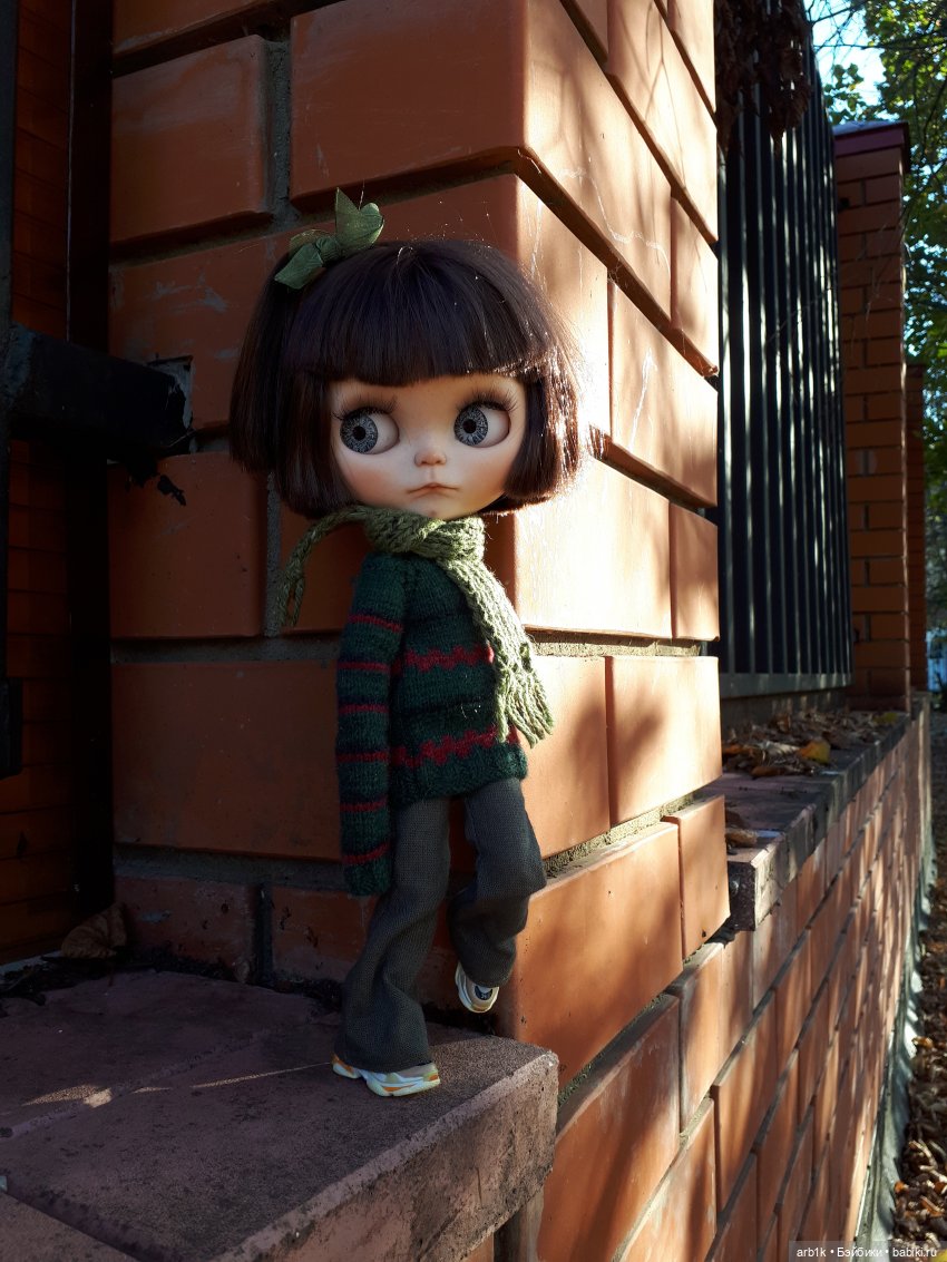 Осенние фотографии — Куклы Blythe (Блайз) ООАК: кастом