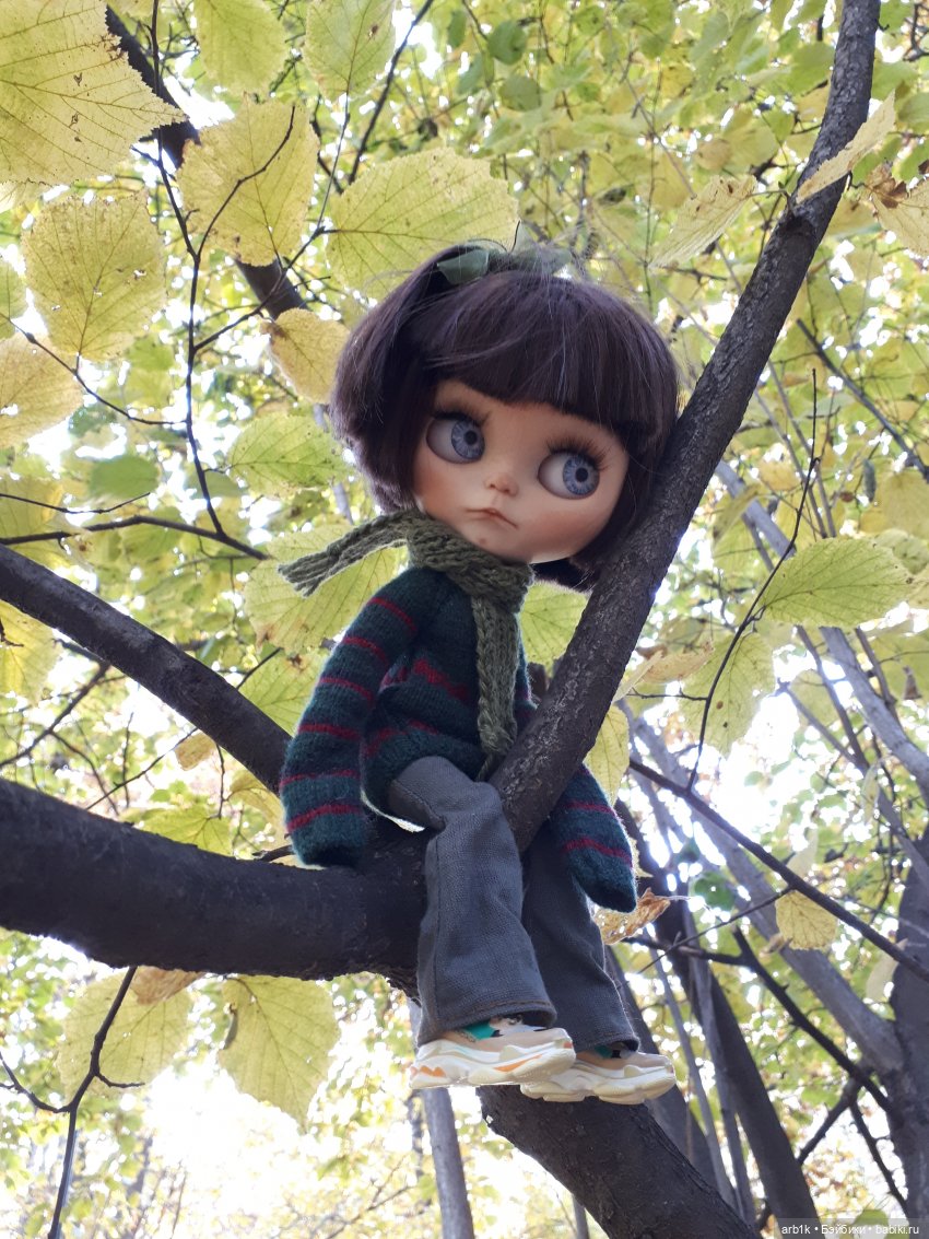 Осенние фотографии — Куклы Blythe (Блайз) ООАК: кастом (фото 9)