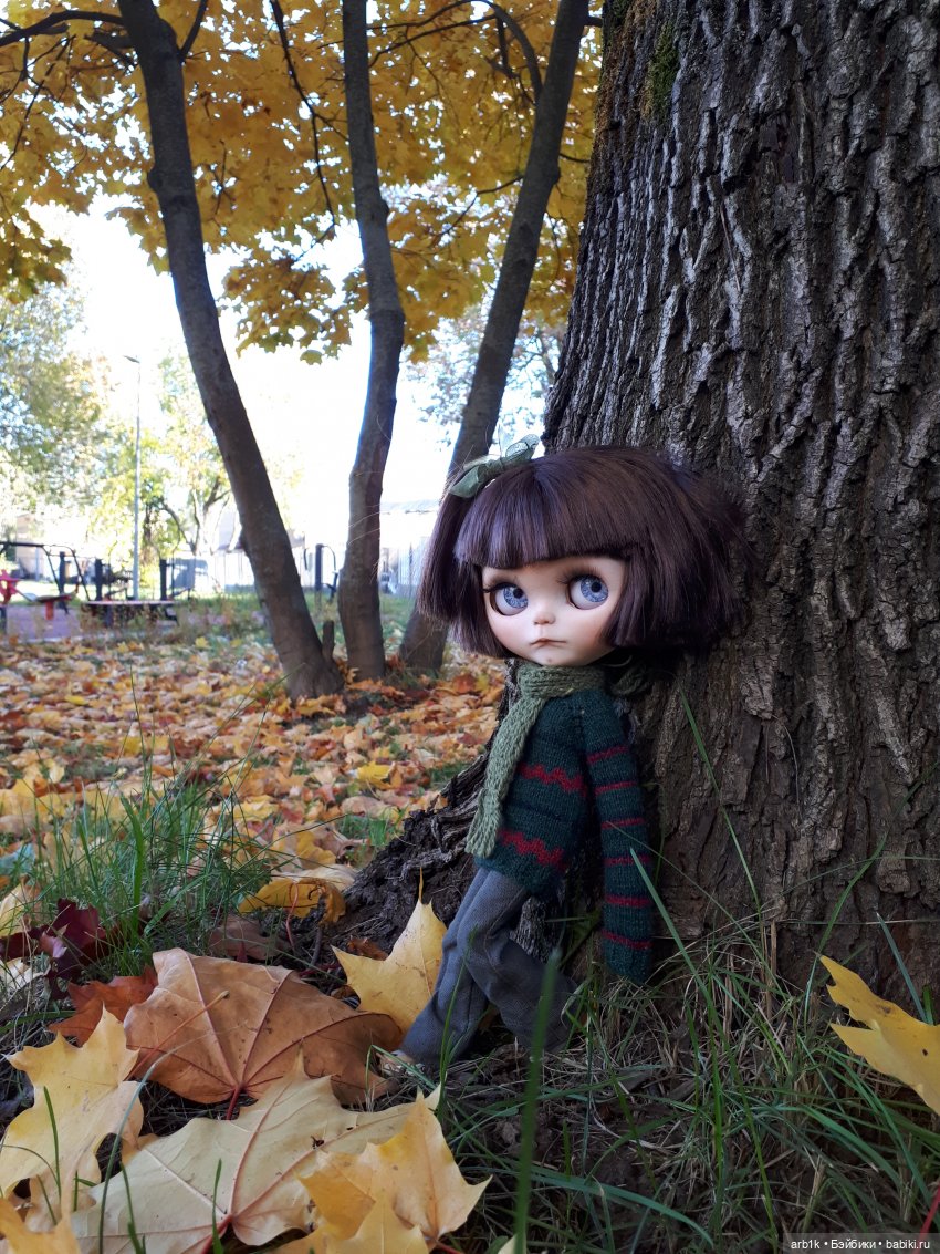 Осенние фотографии — Куклы Blythe (Блайз) ООАК: кастом (фото 3)