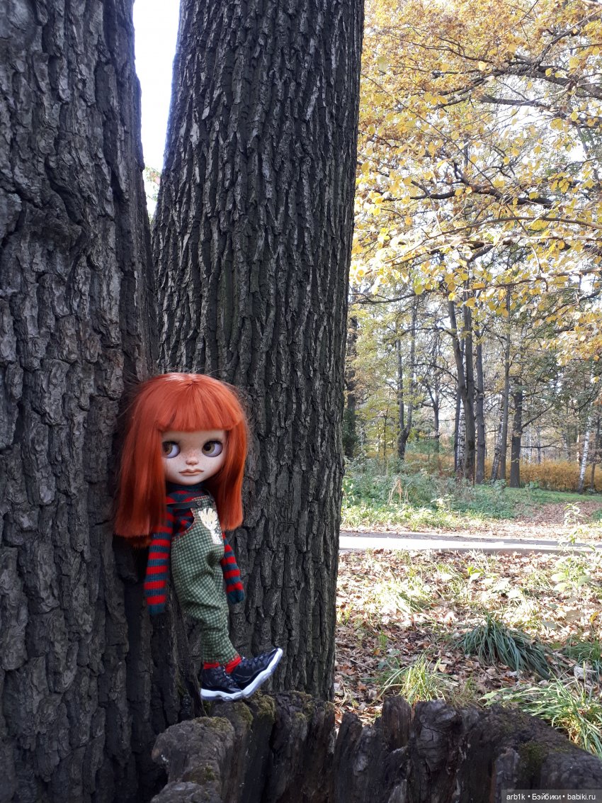Осенние фотографии — Куклы Blythe (Блайз) ООАК: кастом (фото 7)