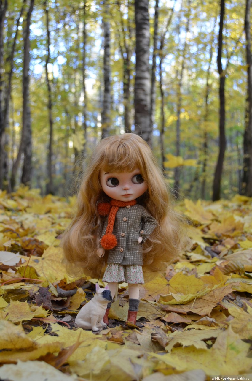 Осенние фотографии — Куклы Blythe (Блайз) ООАК: кастом