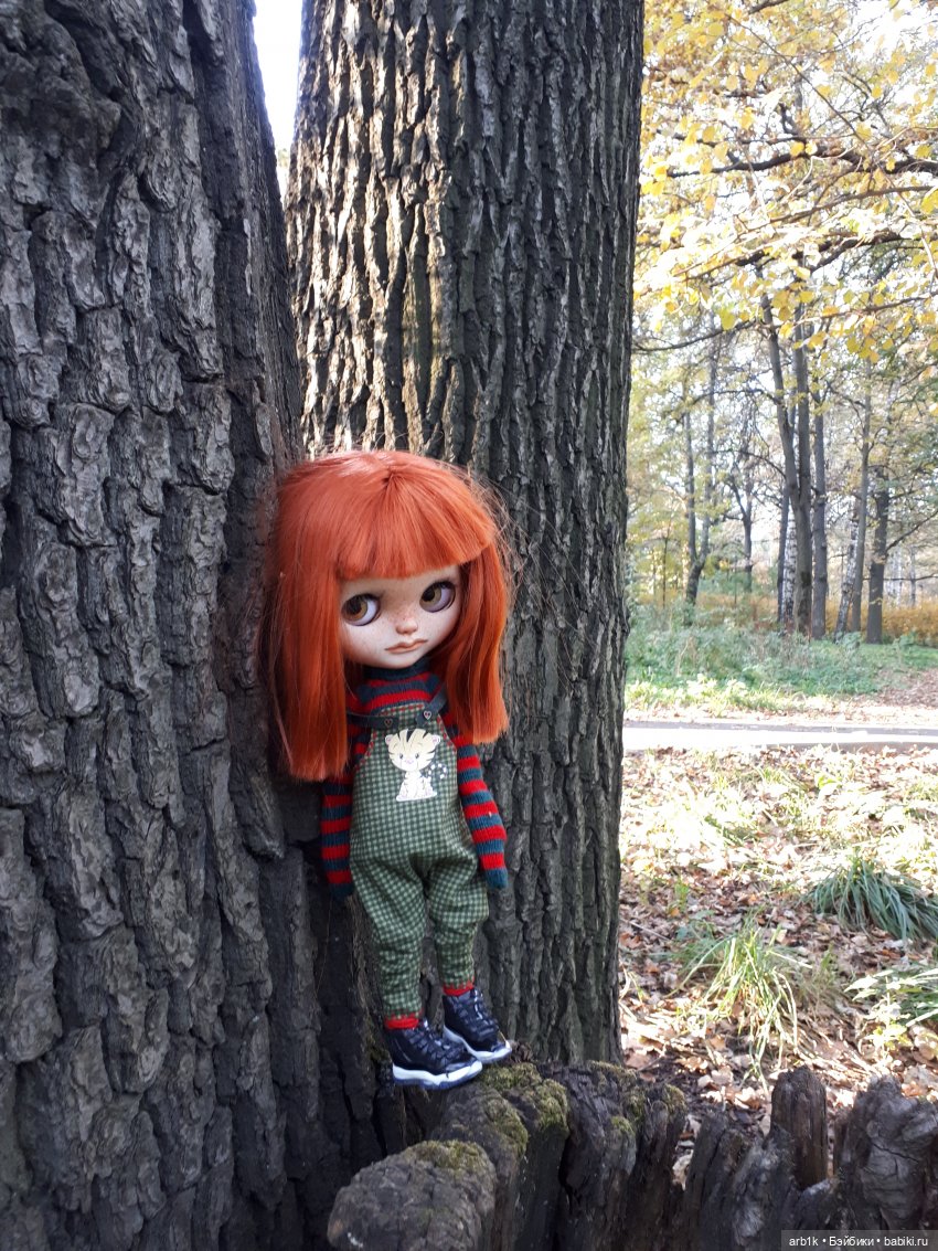 Осенние фотографии — Куклы Blythe (Блайз) ООАК: кастом (фото 8)