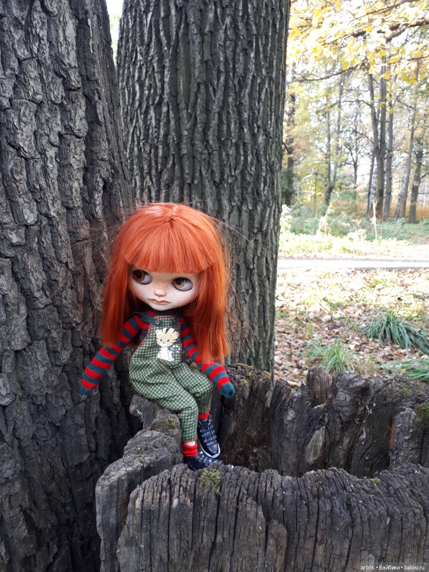 Осенние фотографии — Куклы Blythe (Блайз) ООАК: кастом (фото 6)