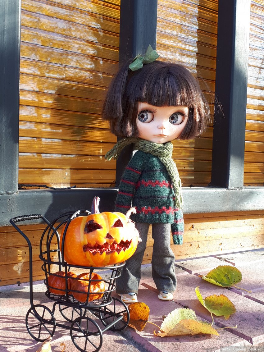 Осенние фотографии — Куклы Blythe (Блайз) ООАК: кастом (фото 2)