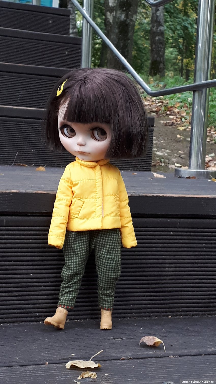 Бонни в парке — Куклы Blythe (Блайз) ООАК: кастом