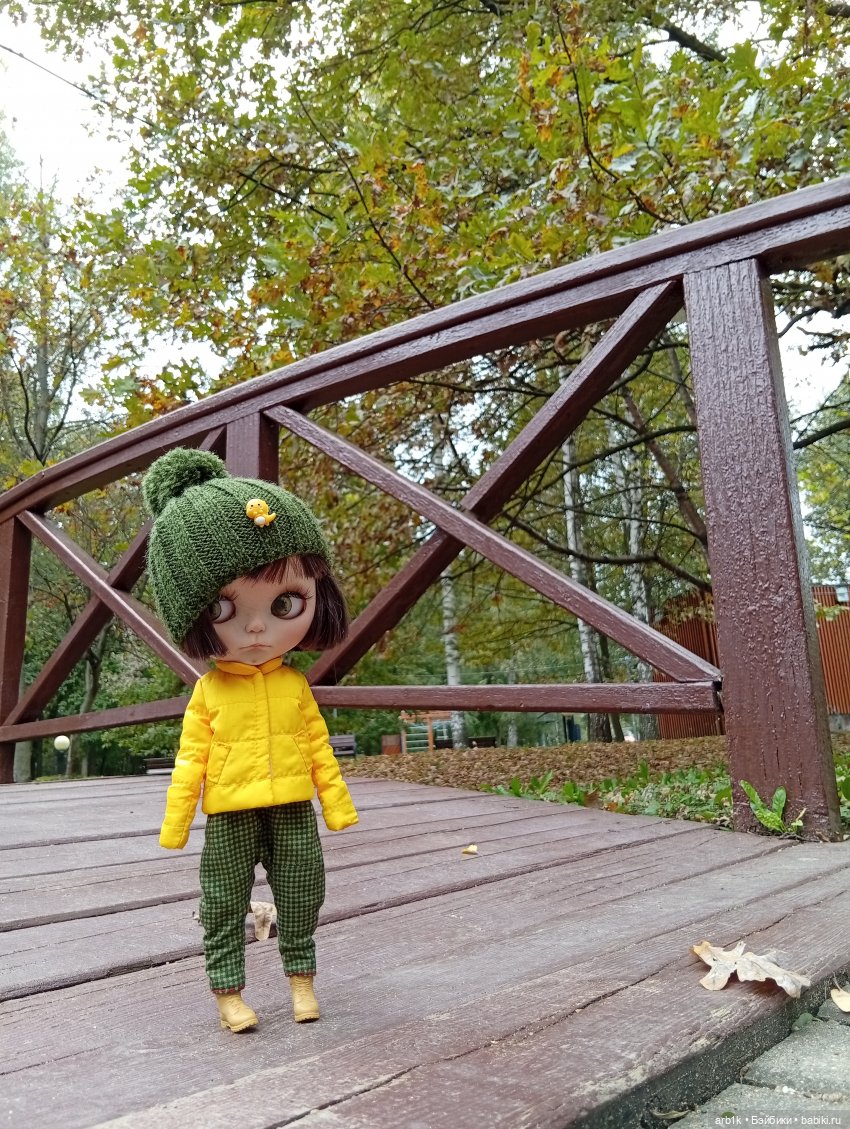 Бонни в парке — Куклы Blythe (Блайз) ООАК: кастом