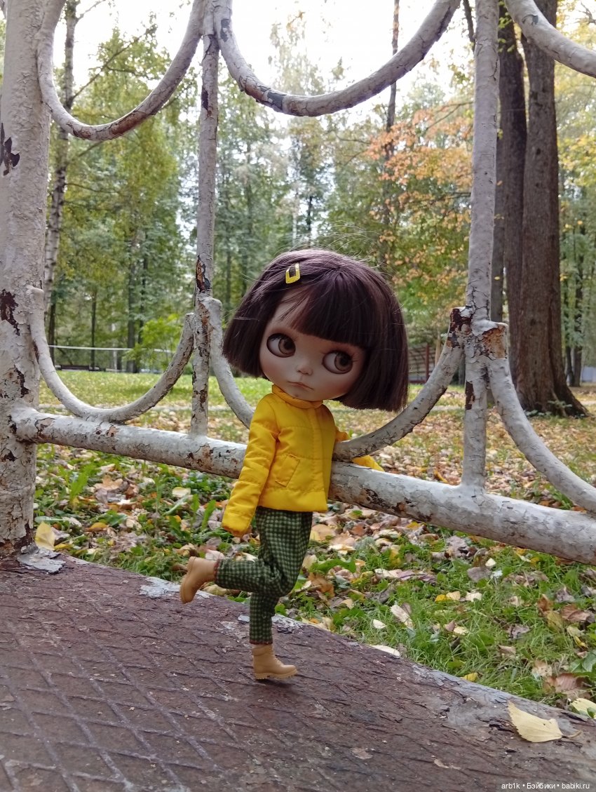Бонни в парке — Куклы Blythe (Блайз) ООАК: кастом