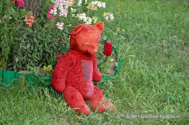 Старенький мишка, очень старенький