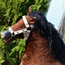 Откуда лошадка  явилась ко мне? Наверно, лошадку  я вижу во сне