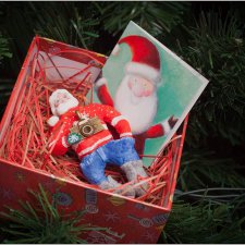 Девчата из ваты