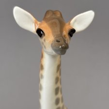 Жираф фарфор