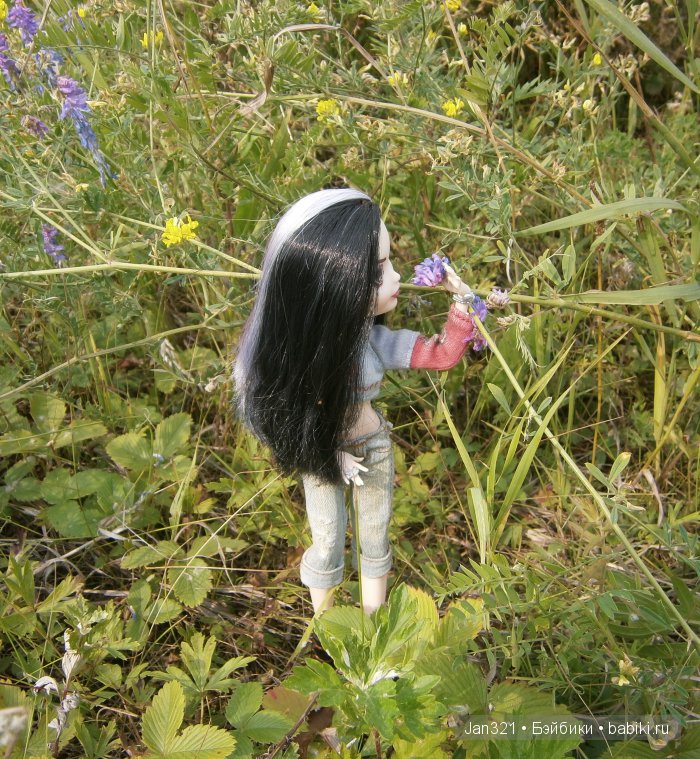 Прогулка — Куклы Monster High и Ever After High: G1 (фото 6)