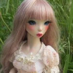 Шарнирная кукла Акина - Весенний цветок