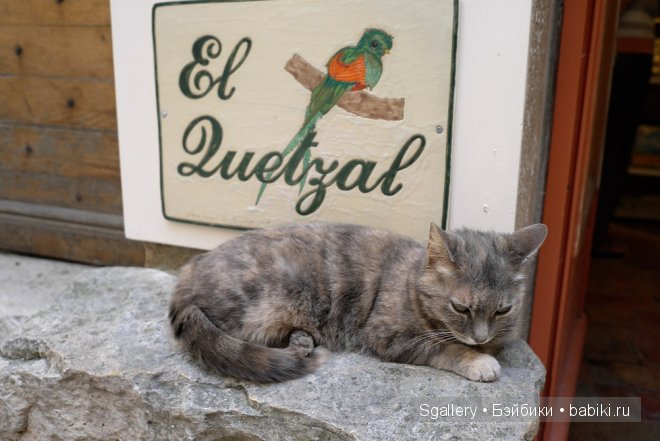 Идея родом из Прованса. La boutique de fleur. Кукольная миниатюра в масштабе 1:12