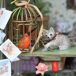 Идея родом из Прованса. La boutique de fleur. Кукольная миниатюра в масштабе 1:12