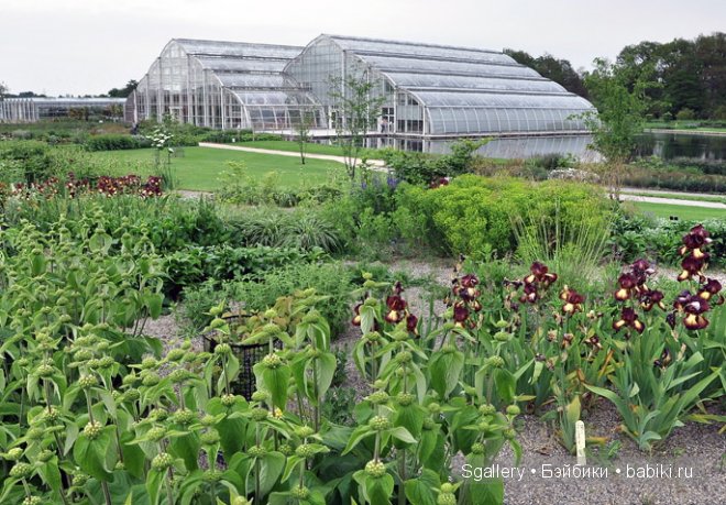 From Surrey with love. Кукольная миниатюра (фото 5)