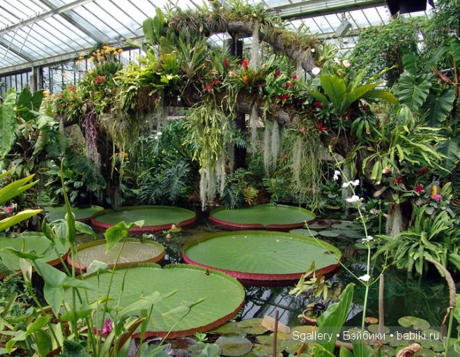 From Surrey with love. Кукольная миниатюра (фото 3)