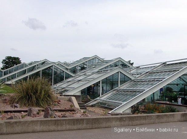 From Surrey with love. Кукольная миниатюра (фото 2)