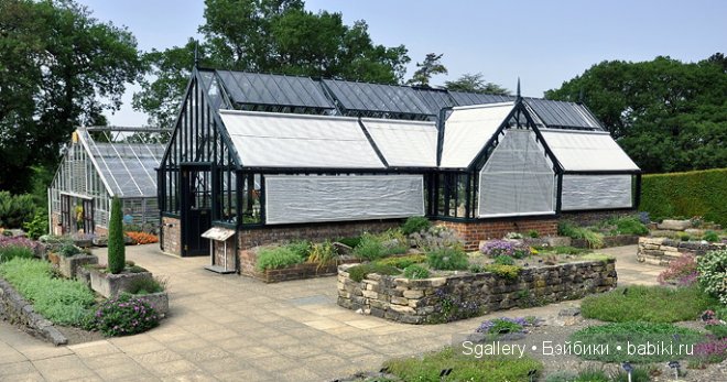 From Surrey with love. Кукольная миниатюра (фото 7)