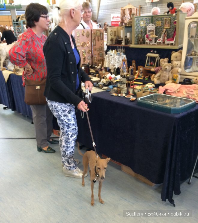 Международный кукольный фестиваль. Часть 2