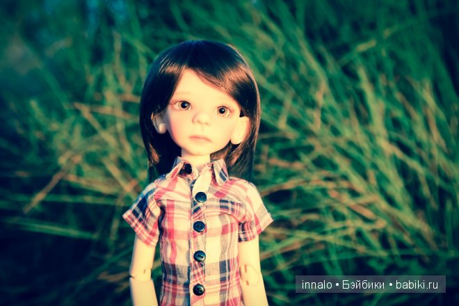 Морис, Maurice Kaye Wiggs (фото 7)