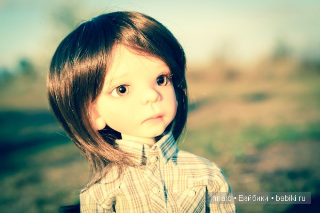 Морис, Maurice Kaye Wiggs (фото 2)