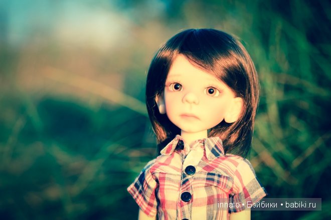 Морис, Maurice Kaye Wiggs