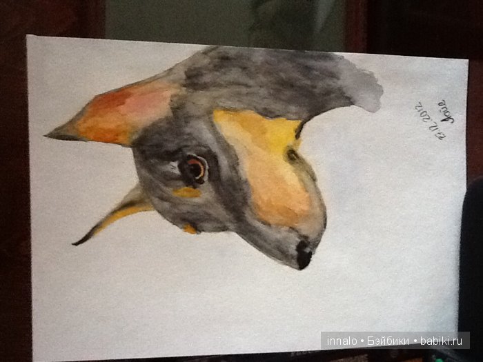 А еще я рисую — Другие хобби и увлечения: сад (фото 6)