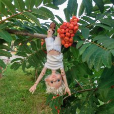 Падение с рябины и зализывание ран