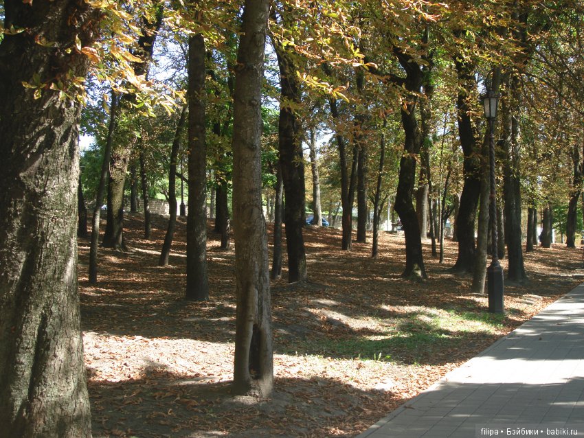 Танюшкина прогулка по осеннему парку (фото 10)