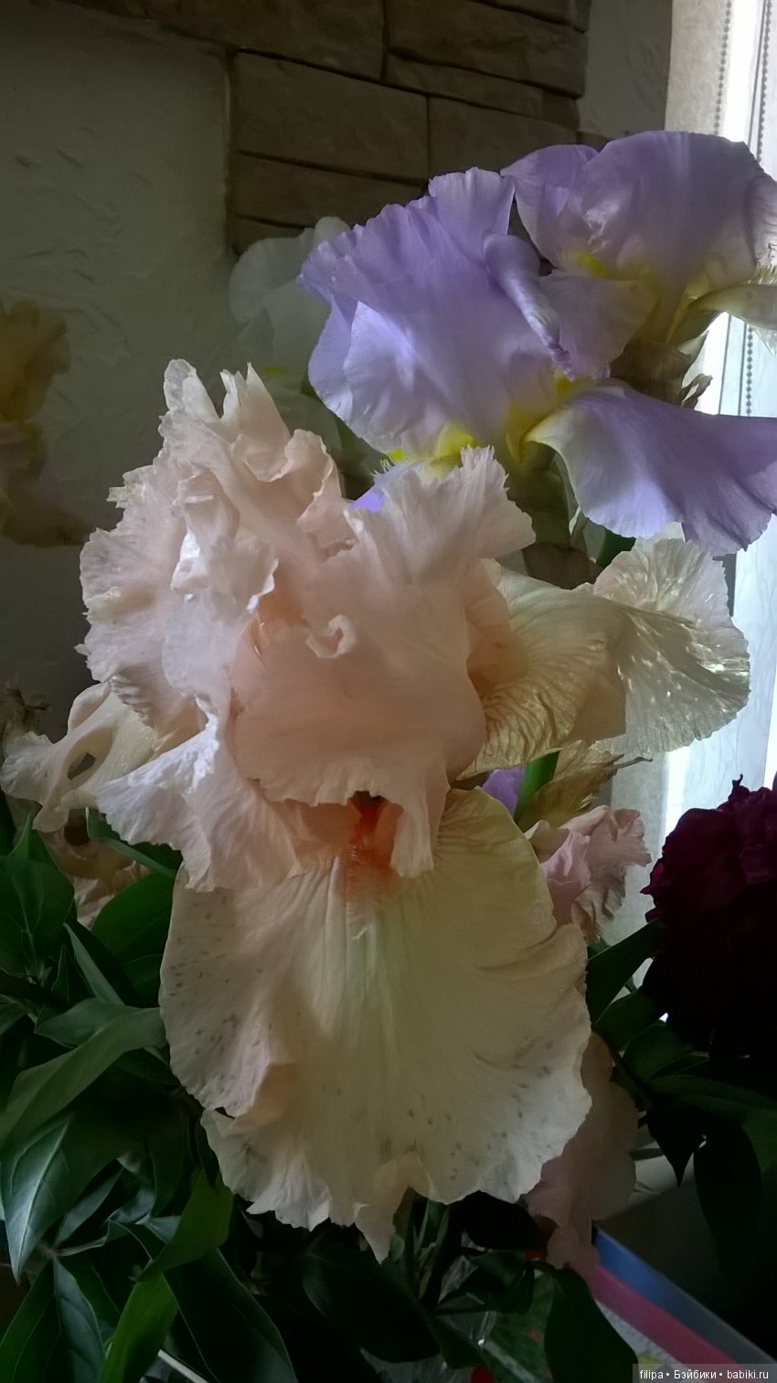 Мои любимые отдушины. Ирисы (фото 10)