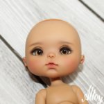 Chibbis Fabbi Meadowdolls