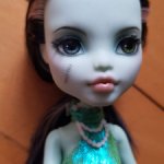 ООАК Monster high Френки