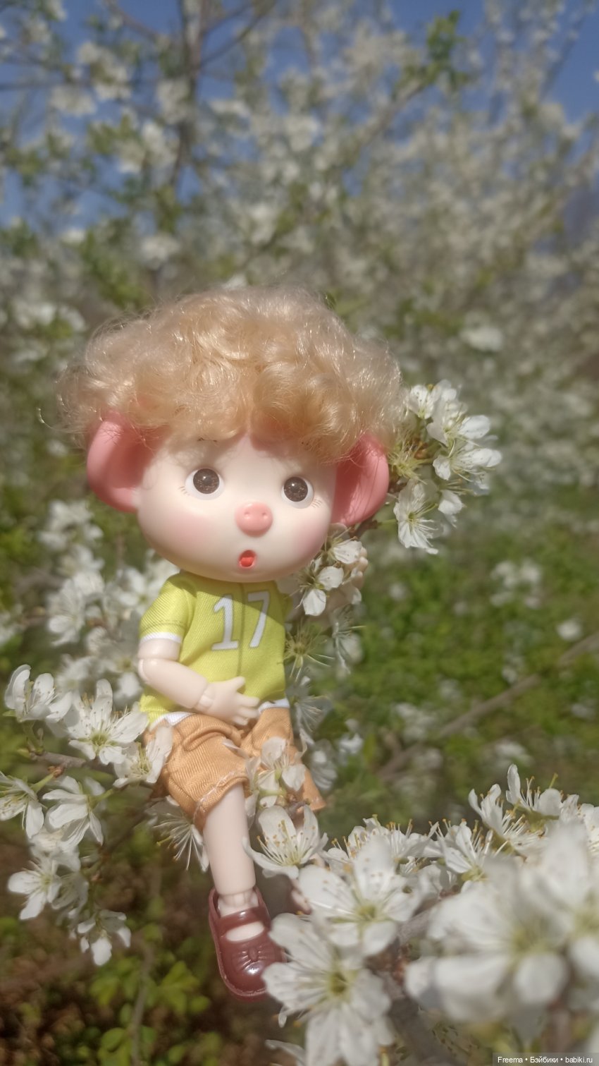 Привет от Анатолия.