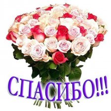 Большое Спасибо Аdmin