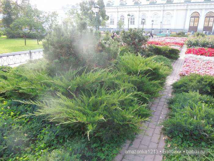 Кусочек лета или мои прогулки по Москве