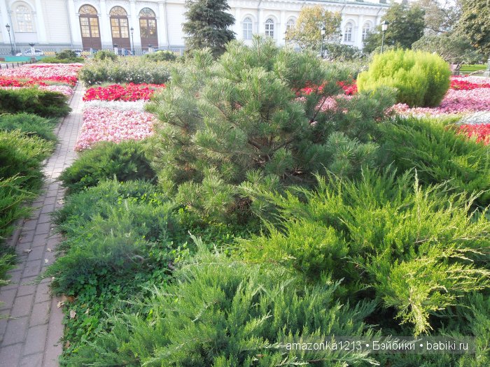 Кусочек лета или мои прогулки по Москве