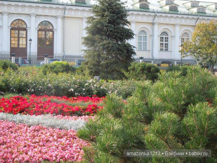 Кусочек лета или мои прогулки по Москве