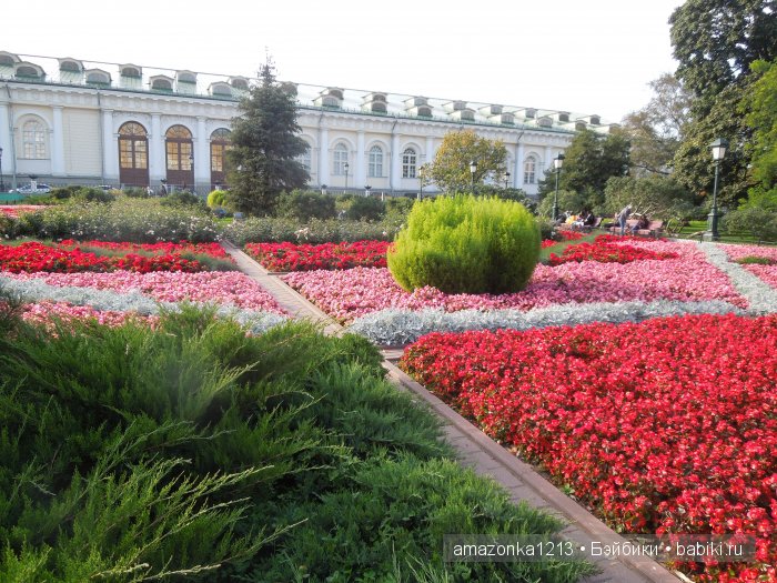 Кусочек лета или мои прогулки по Москве