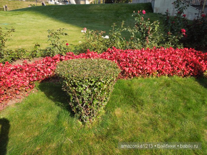 Кусочек лета или мои прогулки по Москве (фото 5)