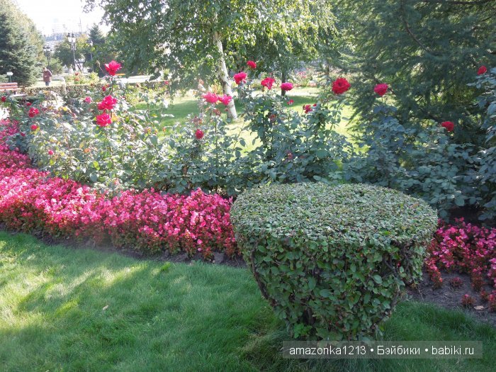 Кусочек лета или мои прогулки по Москве