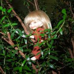 FairyLand LittleFee Pupu